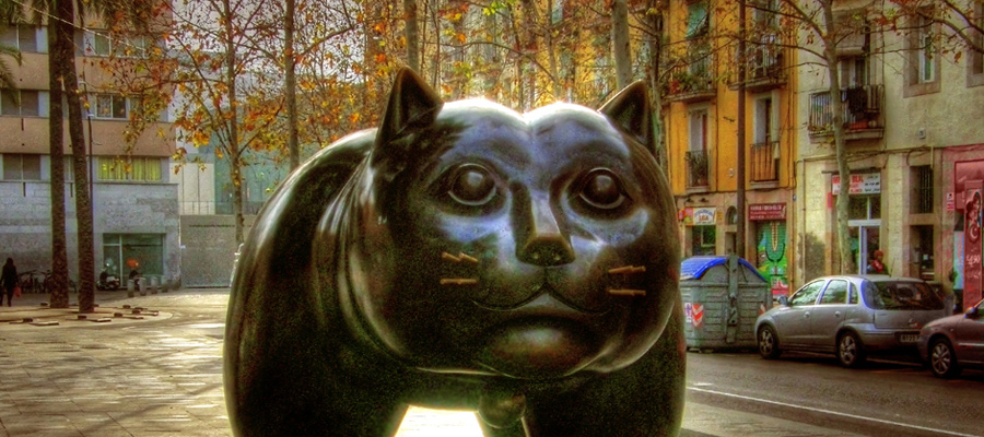 Large cat prowling the city. - Barcelona, Spain